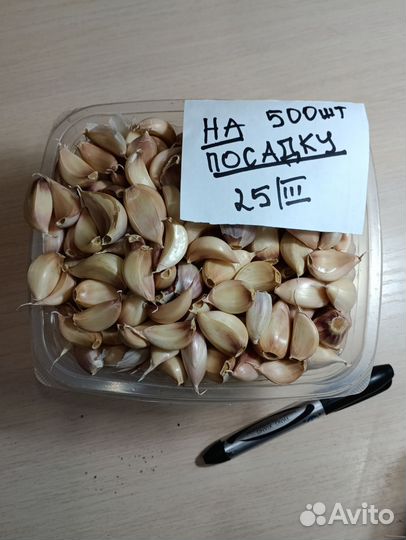Чеснок летний продам
