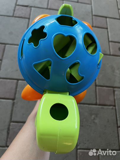 Сортер черепашка