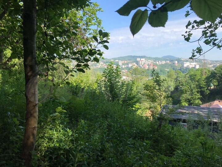 Участок 6 сот. (СНТ, ДНП)