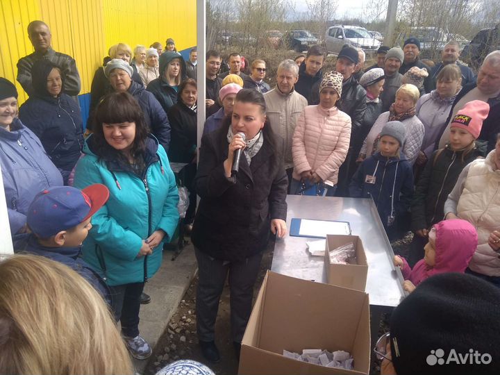 Ведущий мероприятий