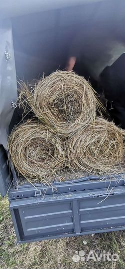 Сено в рулонах