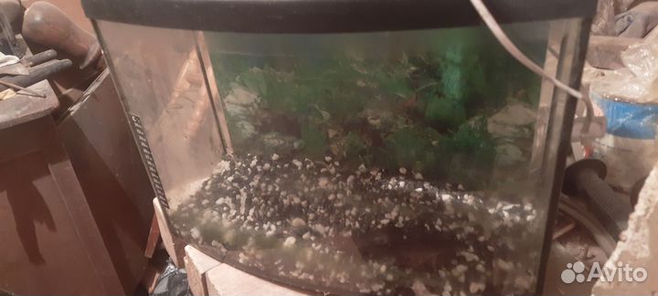 Аквариум для рыбок 15л с освещением