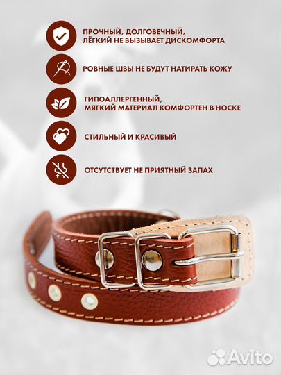 Кожаный ошейник для собак