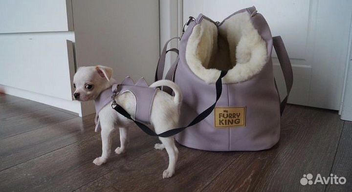 Сумка переноска для маленьких собак