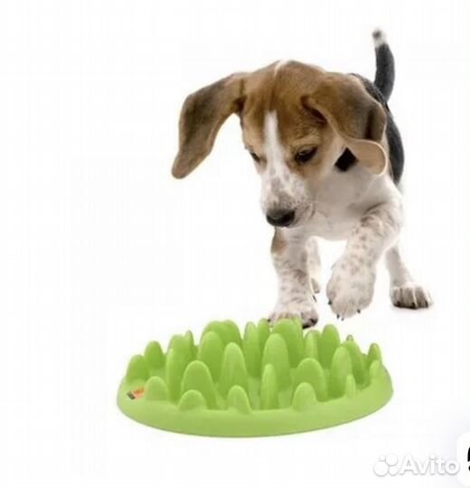 Миска для собак бу