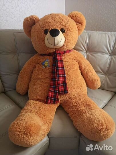 Плюшевый медведь