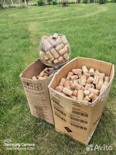 Винные пробки