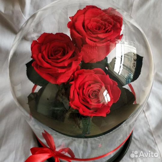 Роза в колбе trio
