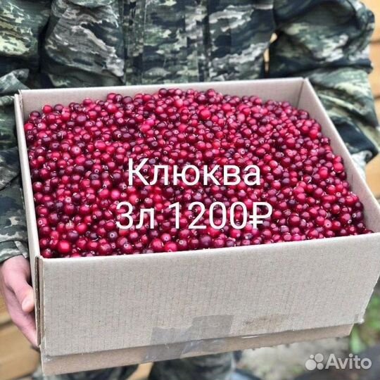 Брусника Клюква свежая Рязань