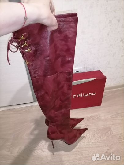 Новые сапоги ботфорты calipso р.37