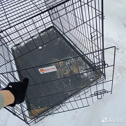 Аренда клетка для собак, кошек, аренда