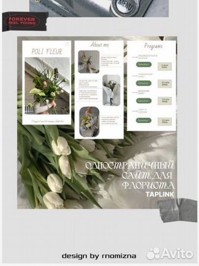 Веб дизайнер