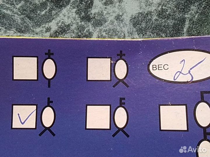 Карповый монтаж 25г Арбуз фидерный