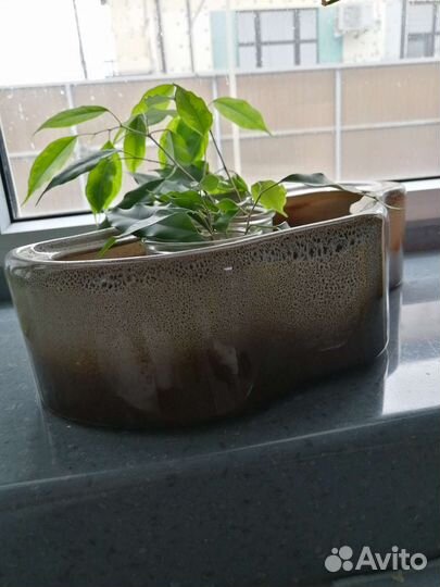 Керамические горшки для цветов бу