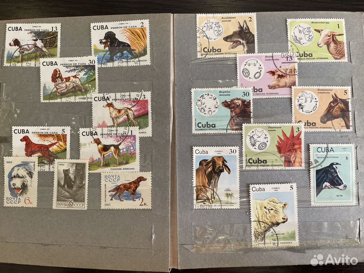 Почтовые марки альбом