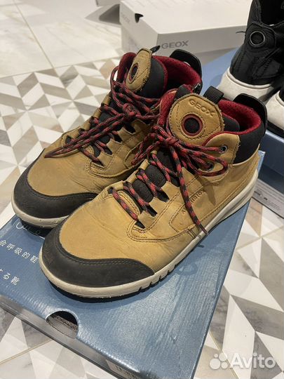 Ботинки geox 38 мальчик