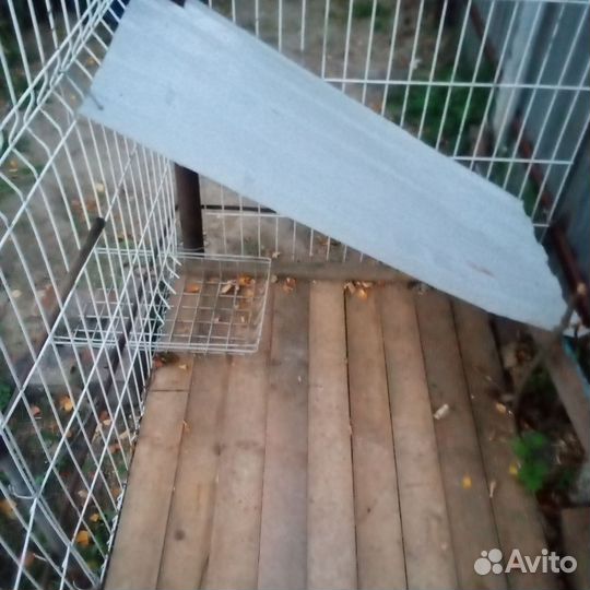 Вольер для собак