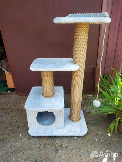 Когтеточки,комплексы