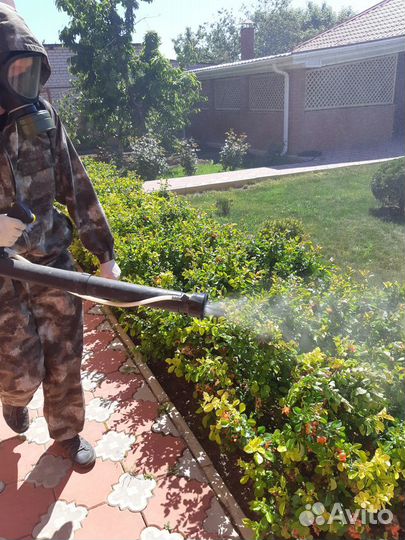 Уничтожение тараканов клопов блох муравьев клещей