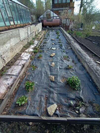 Дача 43 м² на участке 5 сот.