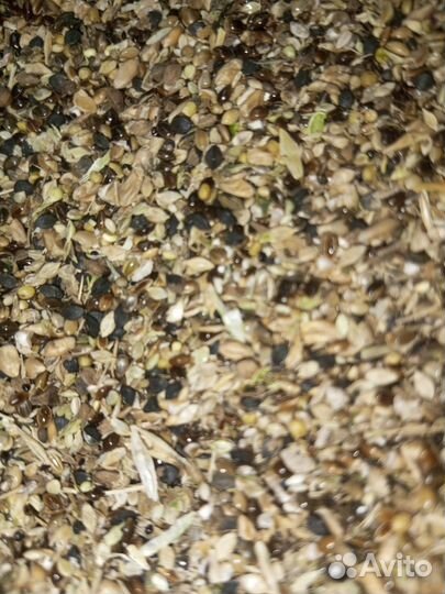 Зерноотходы