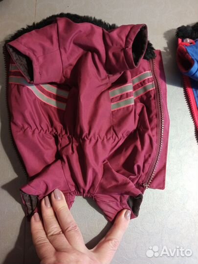 Одежда комбинезоны для маленьких собак