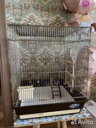 Продаю клетку для попугая