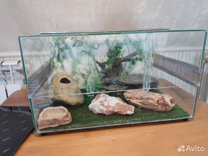 Террариум для эублефара