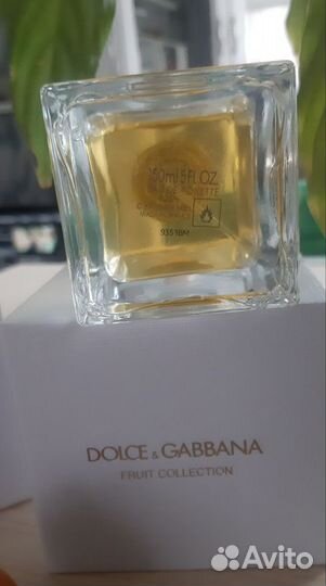 Dolce & Gabbana Fruit Collection Orange