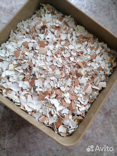 Яичная скорлупа