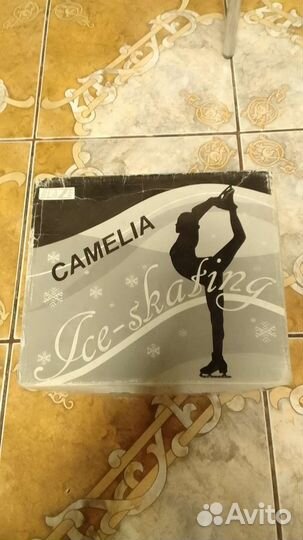 Коньки зимние