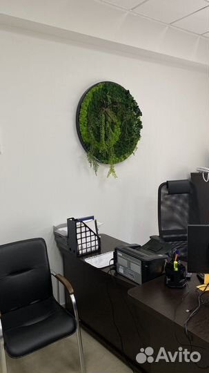 Искусственное озеленение (стабилизированный мох)