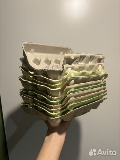 Лотки для яиц