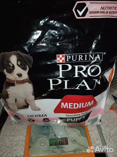 Корм про план пурина с лососем