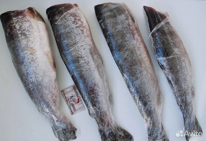 Нерка Кижуч дикий лосось