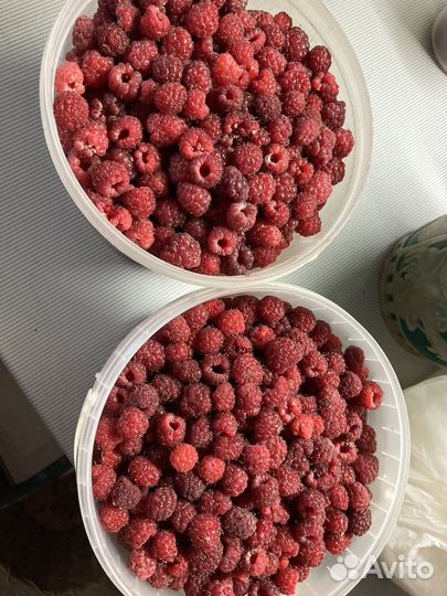 Продам черную смородину