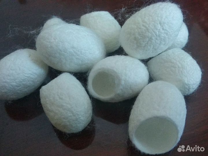 Коконы шелкопряда косметические