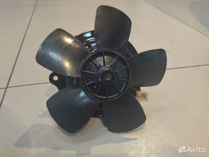 Электродвигатель отопителя 046900810207600