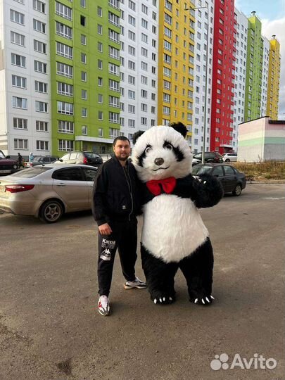 Белый мишка поздравление панда медведь