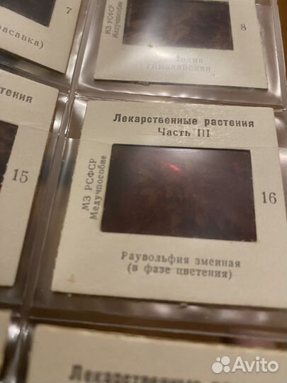 Диапозитивы