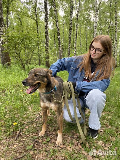 Кузя ищет дом, пристраивается в добрые руки