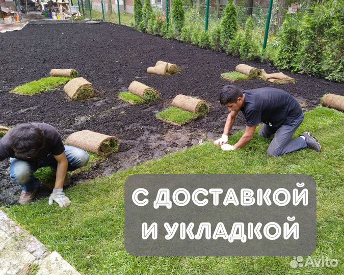Рулонный газон под ключ