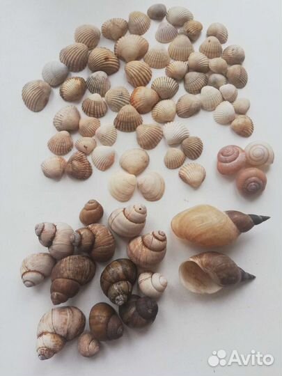 Для творчества (цена за все)