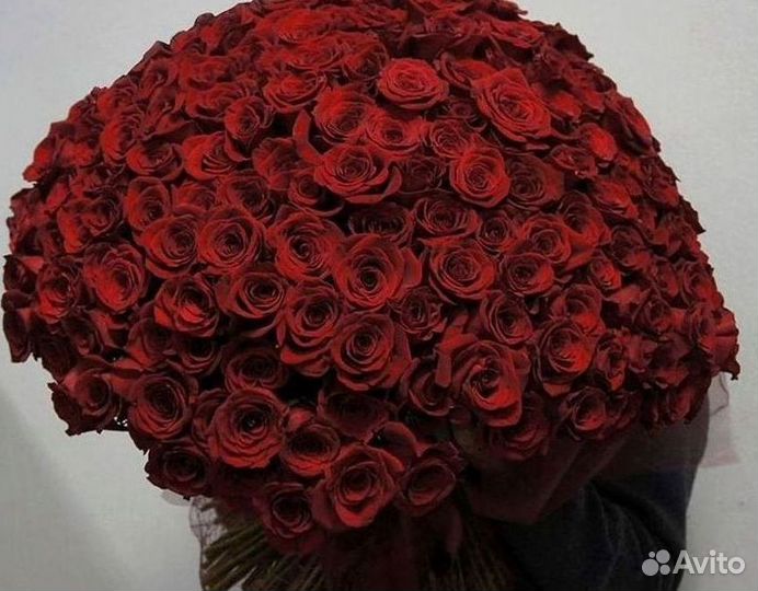 Букет роз 101 роза 51 роза