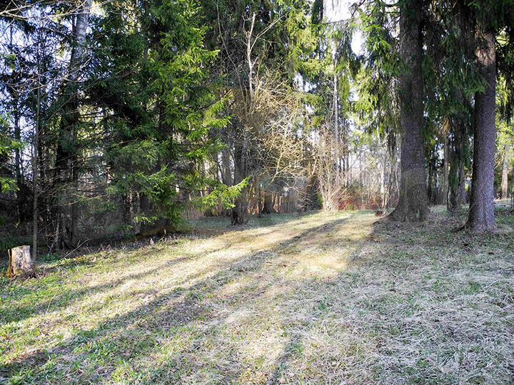 Участок 15,6 сот. (СНТ, ДНП)