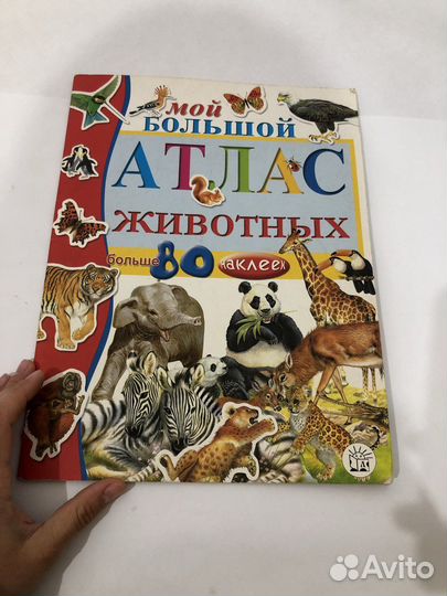 Детские книги виммельбух наклейки