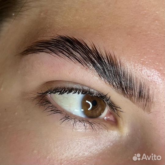 Мастер бровист