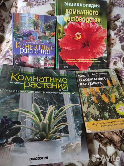 Книги о растениях комнатные