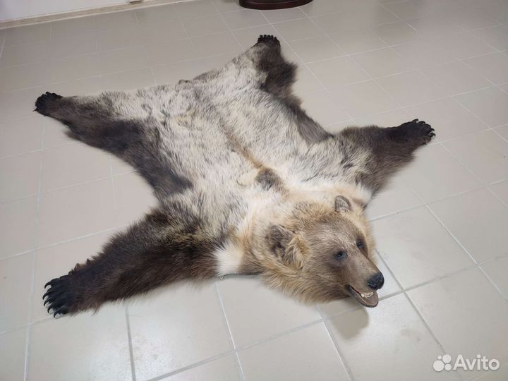 Ковер б/у искуственный медведь