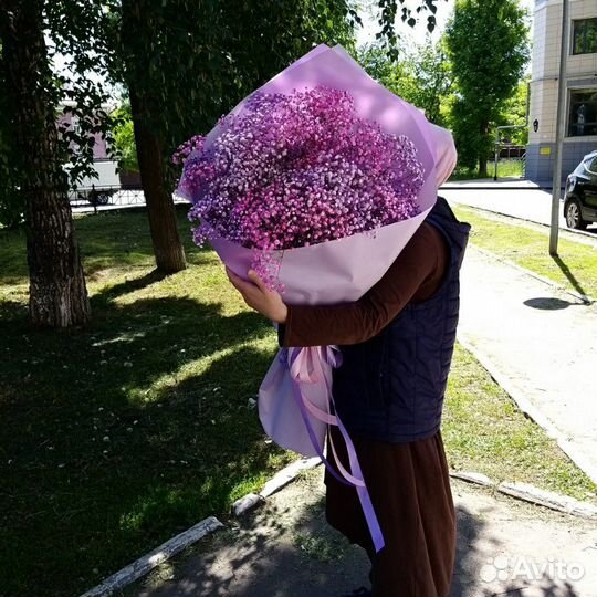 Гипсофила букет гигант